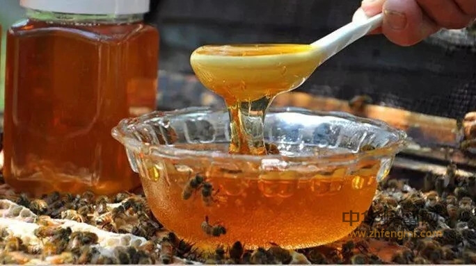 秋季食用蜂蜜的好处，不仅仅是减肥…
