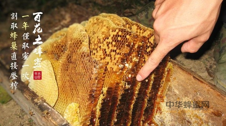 蜜蜂巢脾有哪些药效作用