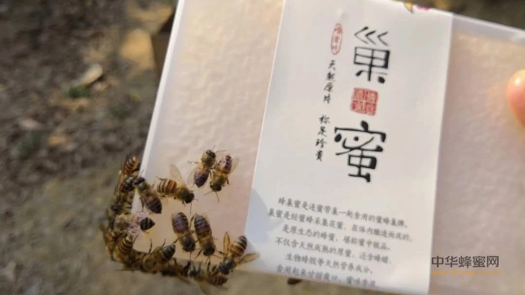 蜂巢蜜的作用与功效