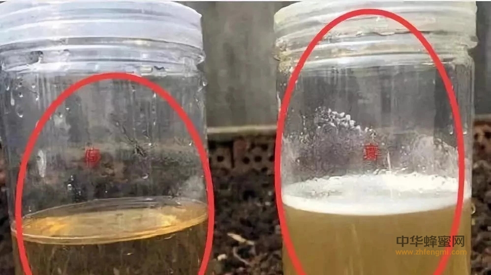 教你如何用一杯清水,就能鉴别蜂蜜真假!