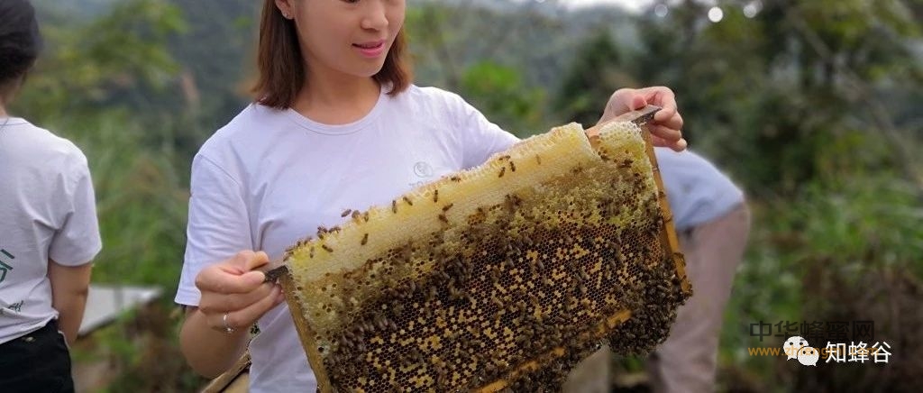 这些知蜂谷土家蜂蜜知识知道吗？