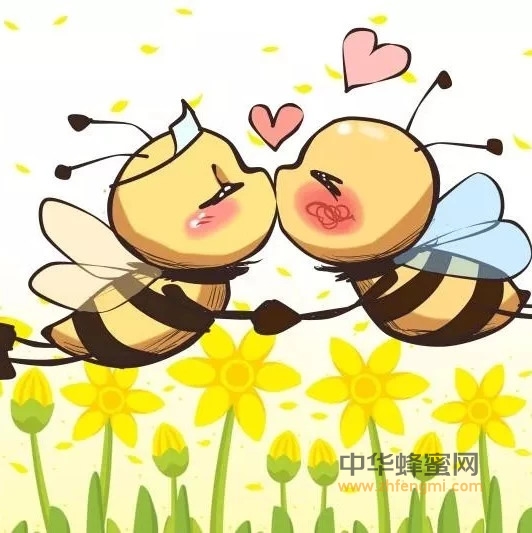 如果蜜蜂灭绝，世界只能是黑白色？这是一个需要重视的问题