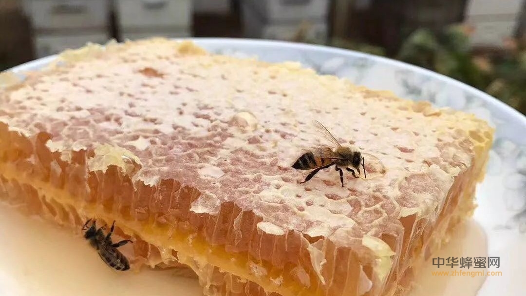 蜂巢蜜有哪些吃法和功效作用？