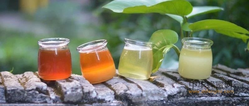纠结！为什么每次买的纯天然蜂蜜，都有所差异？
