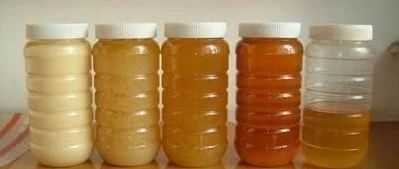 蜂蜜的多种喝法竟能有如此疗效