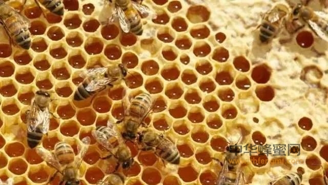 蜜蜂养殖场消毒方法