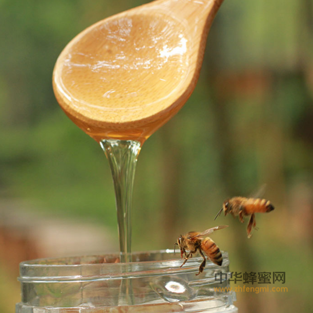 常用蜂蜜