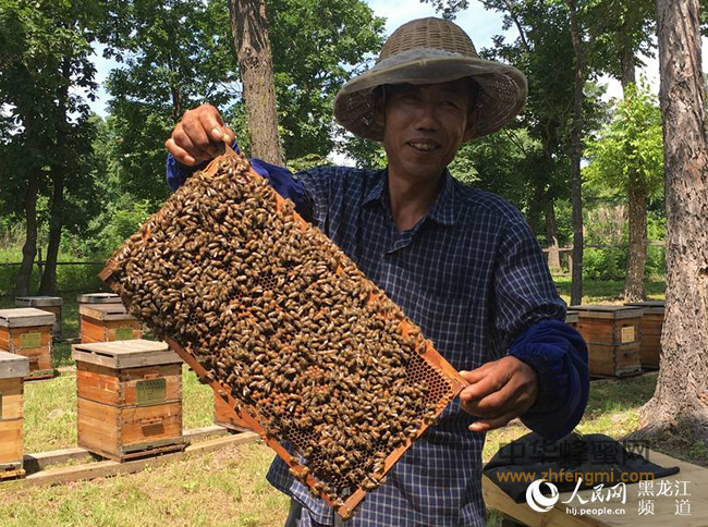 蜂产品：源于天然，养出精魂