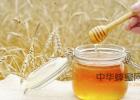蜂蜜去痘印 蜂蜜白醋水 每天喝蜂蜜水有什么好处 蜂蜜的副作用 怎样养蜜蜂