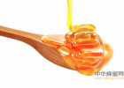 麦卢卡蜂蜜食用方法 蜂蜜尿酸 蜂蜜蛋黄面膜的功效 孕妇可以喝蜂蜜吗 吃了蜂蜜歇后语