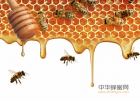 蜂蜜水的做法 如何鉴别蜂蜜的纯度 蜂蜜柠檬茶的作用 广西土蜂蜜 卖蜂蜜故事