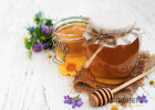 蜜蜂吃什么 养蜜蜂的方法 蜂蜜水怎么喝 牛奶加蜂蜜的功效 蜂蜜牛奶