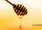 汪氏蜂蜜怎么样 蜂蜜怎样祛斑 蛋清蜂蜜面膜的功效 养蜜蜂 什么蜂蜜最好
