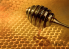 结晶蜂蜜怎么吃 哈萨克蜂蜜 蜂蜜柚子酱的做法大全 蜂蜜柠檬菊花 红枣蜂蜜奶