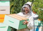 蜂蜜能生吃吗 姜汤蜂蜜水的作用 AAA 蜂蜜花梨茶功效 蜂蜜怎么用祛斑