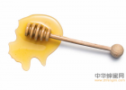 蜂蜜盐面膜的功效 孕后期喝蜂蜜水 十里花蜂蜜 豆角蜂蜜 积安堂枣花的蜂蜜