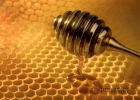 什么时间喝生姜蜂蜜水好 类似于蜜蜂蜂蜜 牛奶 柠檬蜂蜜美白面膜 备孕可以喝蜂蜜吗