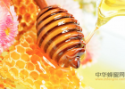 百部蜂蜜膏 月经时喝蜂蜜好吗 扁桃体发炎黑木耳蜂蜜 老北京蜂蜜枣糕的做法 感冒了可以喝蜂蜜吗