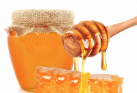 秋季没有蜜源的情况下，应在每天的什么时候喂食蜜蜂？