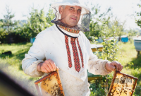 蜂蜜多少钱一斤 七日蜂蜜减肥法