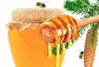 蜂蜜到底是属于凉性还是大热