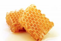 天然蜂蜜活性酶类
