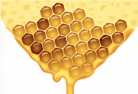 蜂蜜柠檬水对皮肤斑点的消除作用好不好？