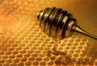 蜂蜜可以哪来做什么