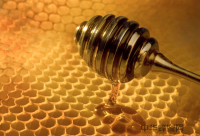 蜂蜜祛斑的方法和窍门