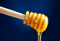桑植县：小蜜蜂“酿出”甜蜜产业