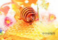 蜂蜜的美容护肤功效