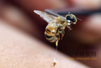 福建泰宁村民食野生蜂蜜意外中毒